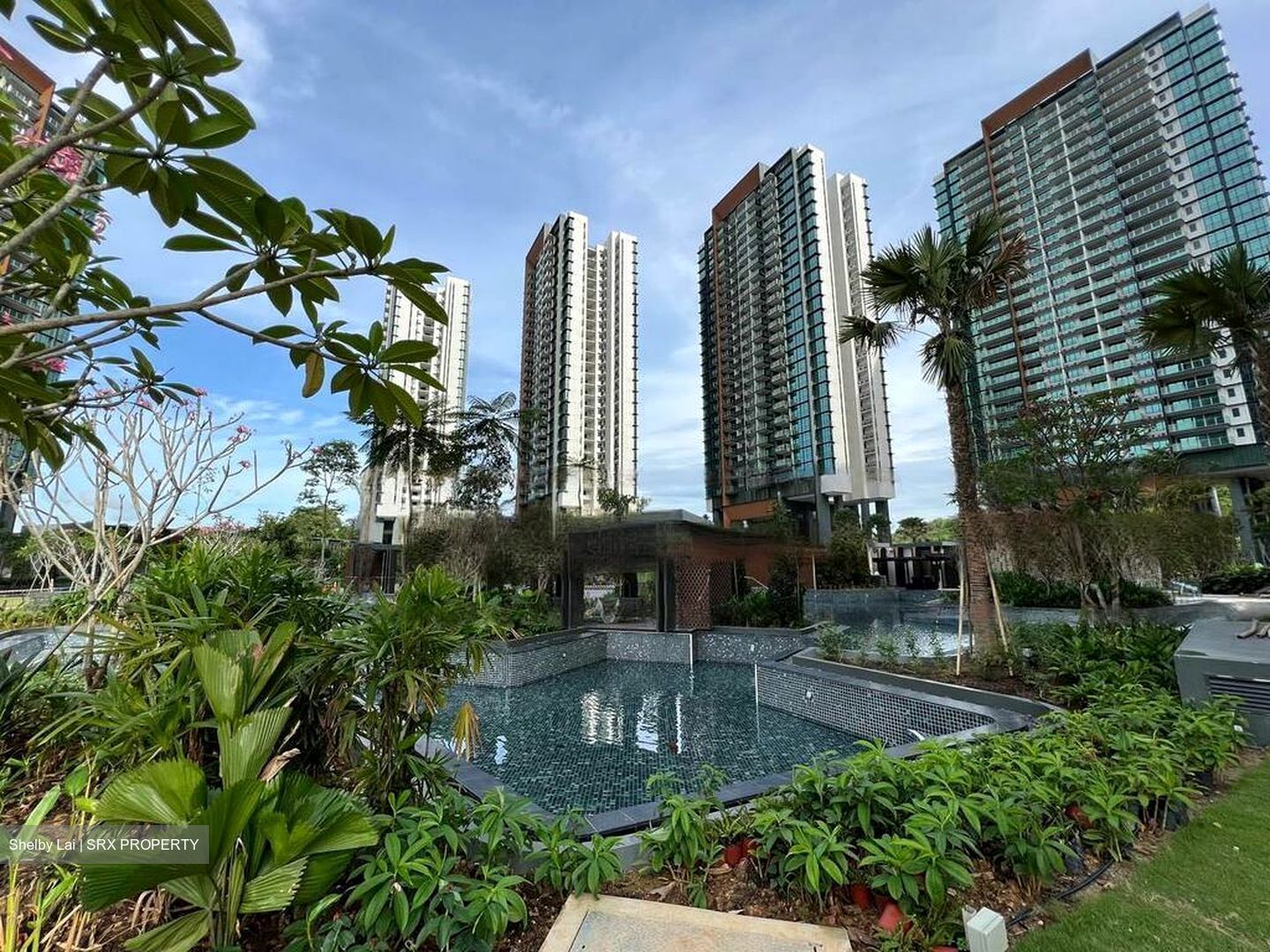 Normanton Park (D5), Apartment #485561541